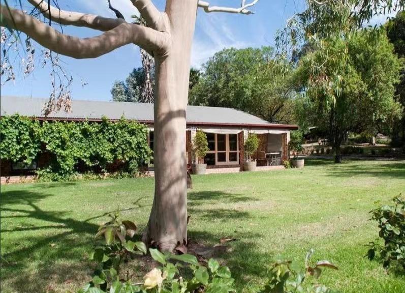 Blickinstal Barossa Valley Accommodation Exterior photo