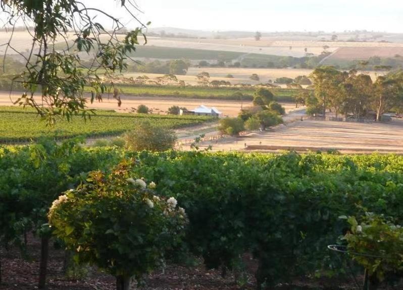 Blickinstal Barossa Valley Accommodation Exterior photo