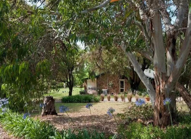 Blickinstal Barossa Valley Accommodation Exterior photo