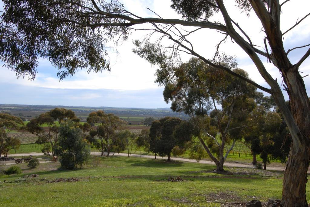 Blickinstal Barossa Valley Accommodation Exterior photo