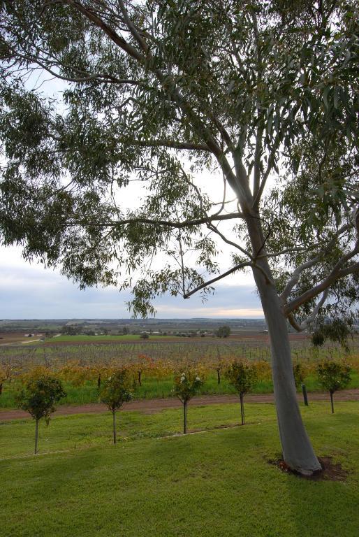 Blickinstal Barossa Valley Accommodation Exterior photo